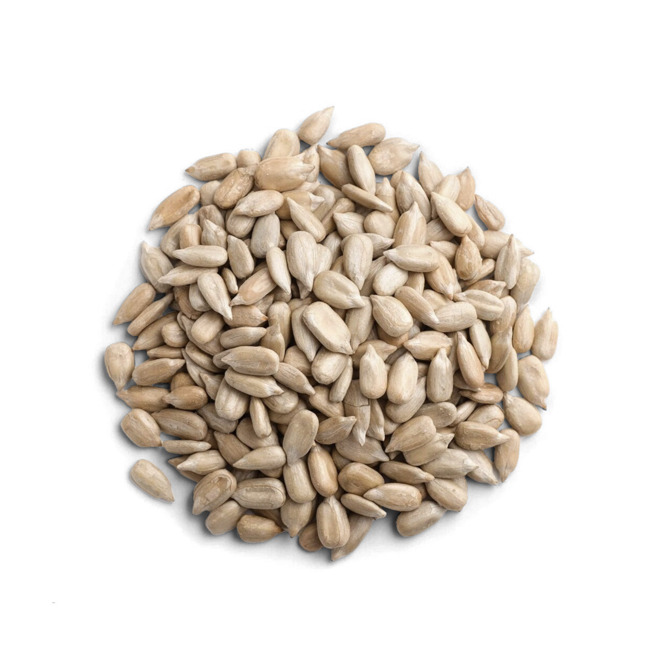 Pépite -- Graines de tournesol bio Vrac (origine UE) - 10 kg main image 0